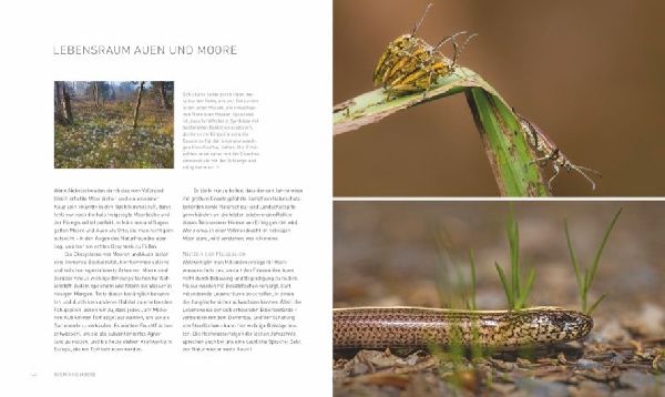 Verborgene Wildnis Bayern