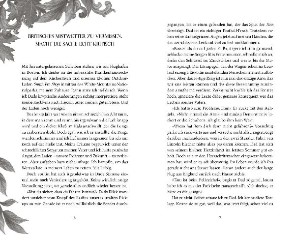 Die Nordlicht-Saga 1: Fate and Fire
