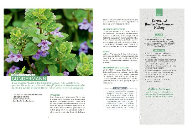 Wilde Ernte aus dem Wald - 40 essbare Pflanzen - einfache Bestimmung, kompaktes Wissen und leckere Rezepte