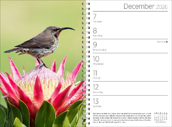 Audubon Engagement Calendar 2026
