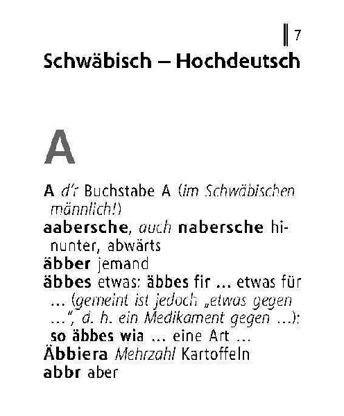 Langenscheidt Lilliput Schwäbisch