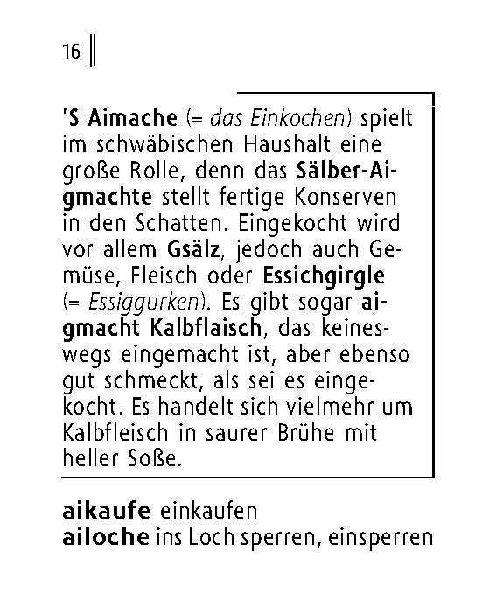 Langenscheidt Lilliput Schwäbisch