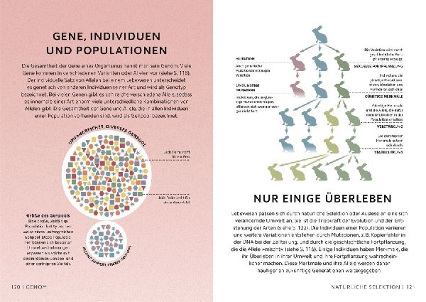 SIMPLY.  Naturwissenschaft