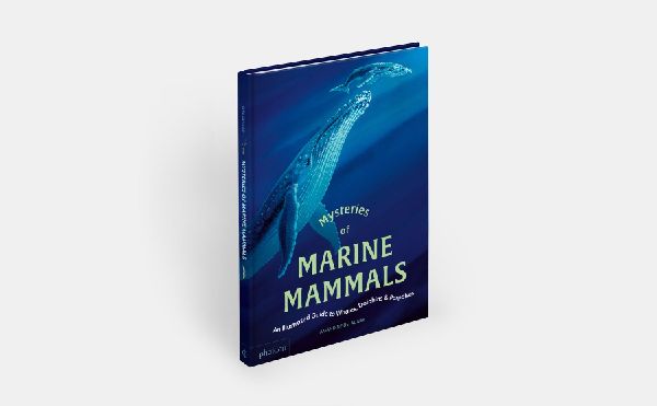 Mysteries of Marine Mammals