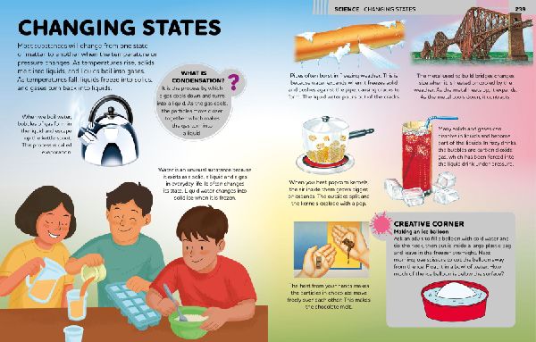 Everything You Need to Know