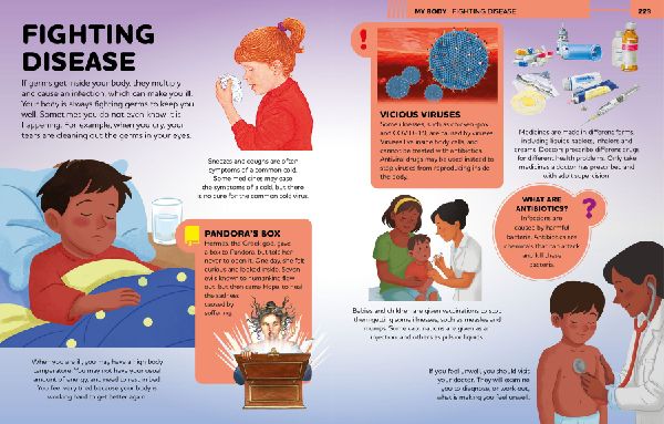 Everything You Need to Know