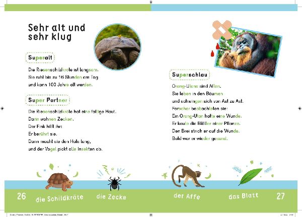 Dein Lesestart: Weißt du schon alles über Supertiere? Ab 1. Klasse
