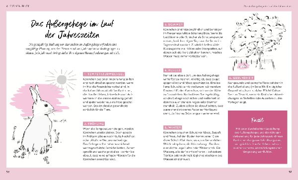 Kaninchen im Außengehege