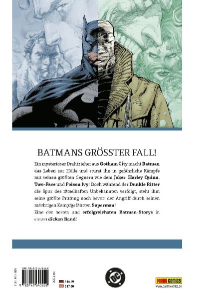 Batman Hush (Pocket Edition)