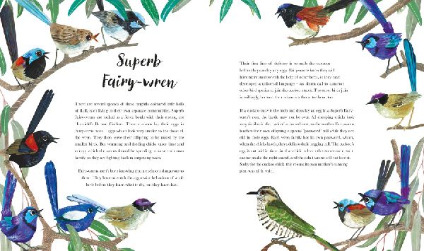 Bright Birds