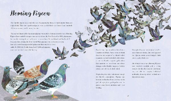 Bright Birds