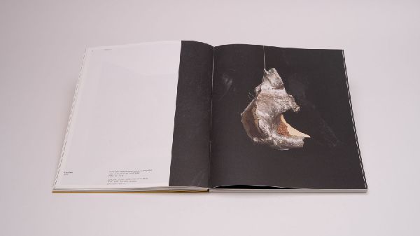 Felix Schramm - Things To Come