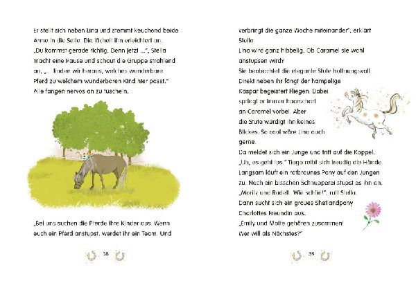 Zauberhufe - Unser magischer Ponyhof - Ein Chaos-Pony zum Verlieben