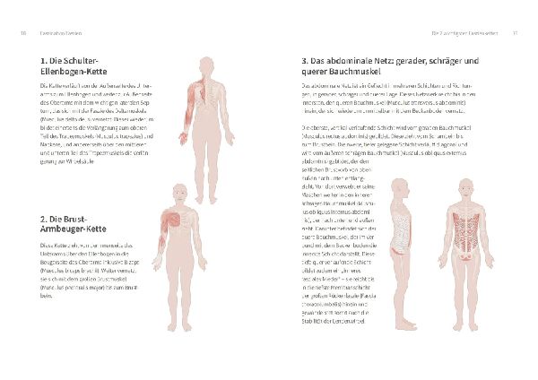 Training für die Faszien - Die Erfolgsformel für ein straffes Bindegewebe