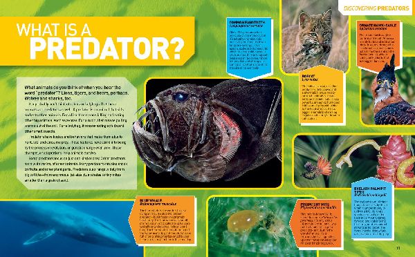 National Geographic Kids Ultimate Predatorpedia