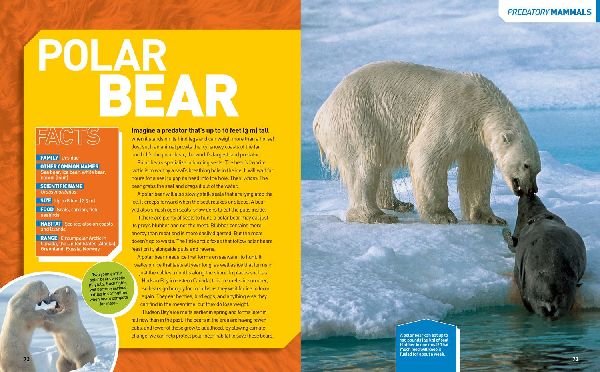 National Geographic Kids Ultimate Predatorpedia