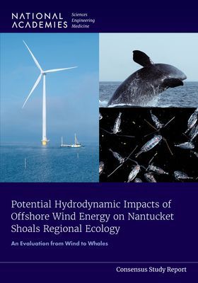 Potential Hydrodynamic Impacts of Offshore Wind Energy on Nant...