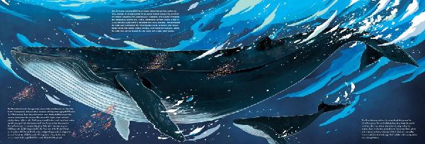 Meet the Megafauna!