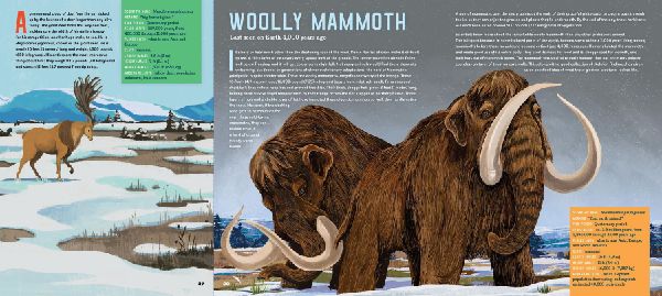 Meet the Megafauna!