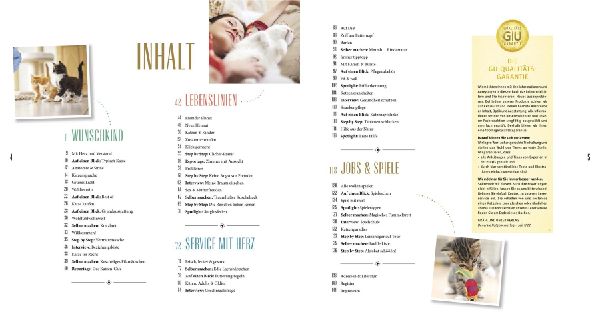 Katzen-Basics