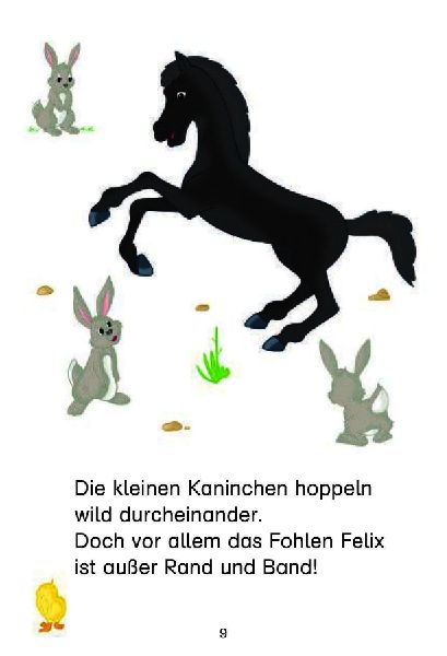 Los geht's im Galopp!