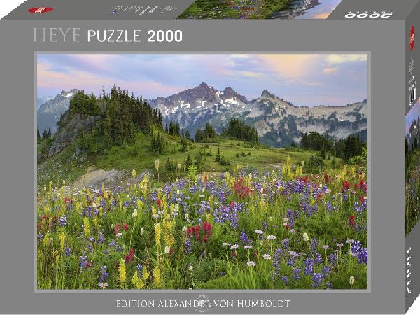 Tatoosh Mountains