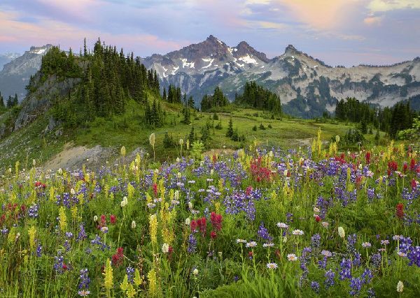 Tatoosh Mountains
