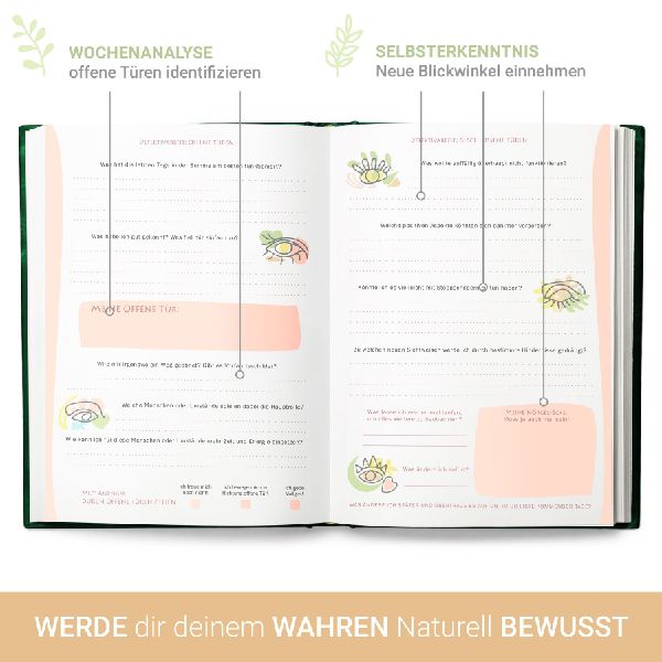 Erkenne die offenen Türen, die Dich zu Deiner Bestimmung führen