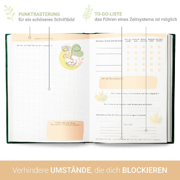 Erkenne die offenen Türen, die Dich zu Deiner Bestimmung führen