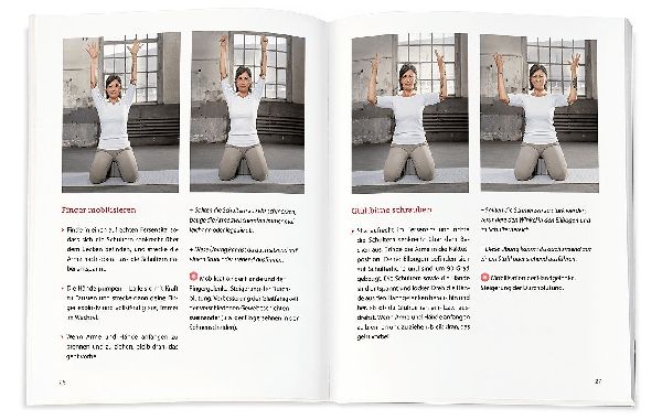 Das HandHeilbuch