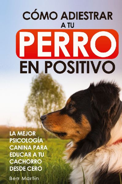 Cómo Adiestrar a tu Perro en Positivo