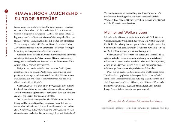 Das Papa-Handbuch