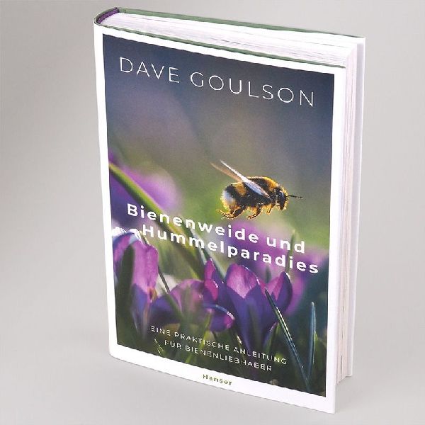 Bienenweide und Hummelparadies