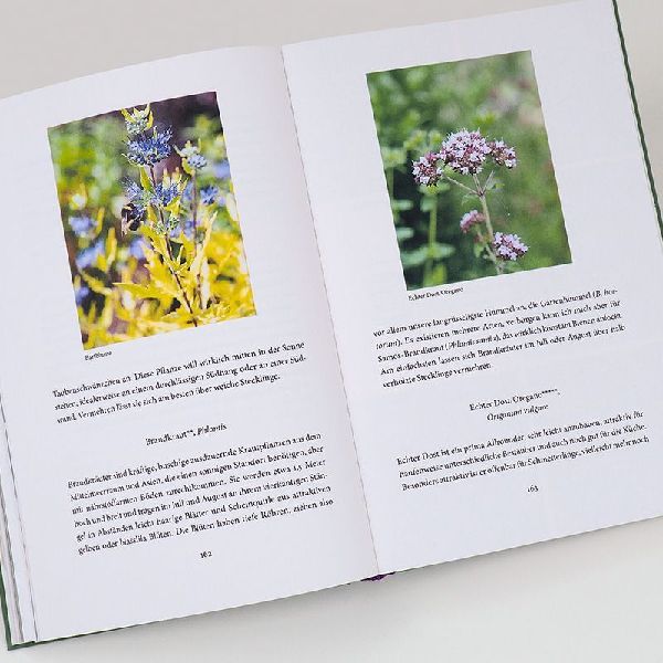 Bienenweide und Hummelparadies