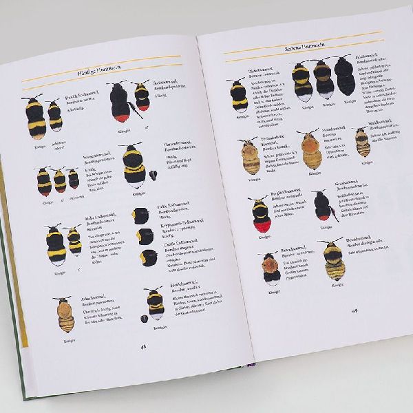 Bienenweide und Hummelparadies