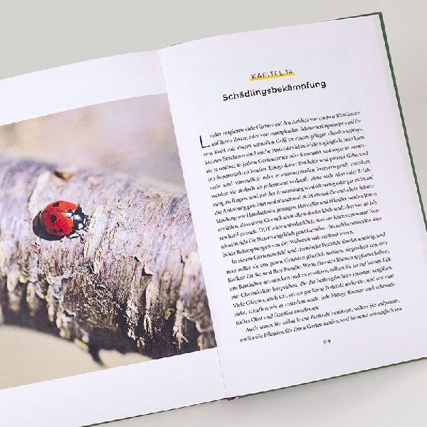Bienenweide und Hummelparadies