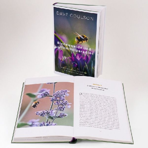 Bienenweide und Hummelparadies
