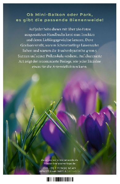 Bienenweide und Hummelparadies