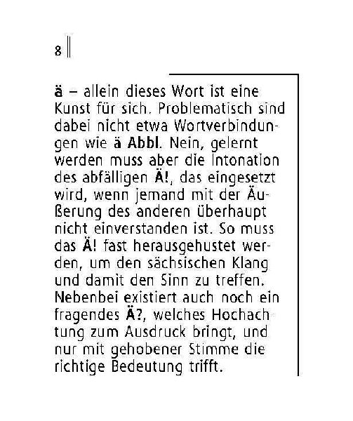 Langenscheidt Lilliput Sächsisch