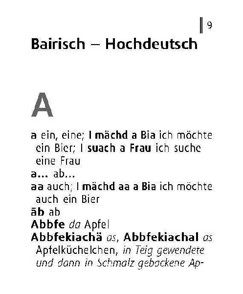 Langenscheidt Lilliput Bairisch