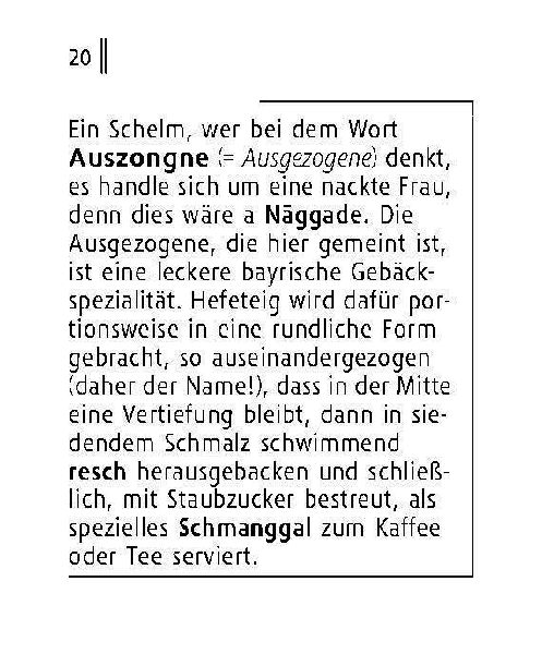 Langenscheidt Lilliput Bairisch