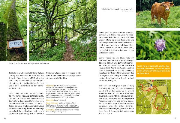 52 kleine & große Eskapaden in und um Freiburg