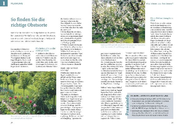Obst & Gemüse selbst anbauen