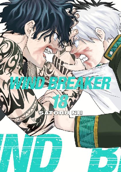 WIND BREAKER 18