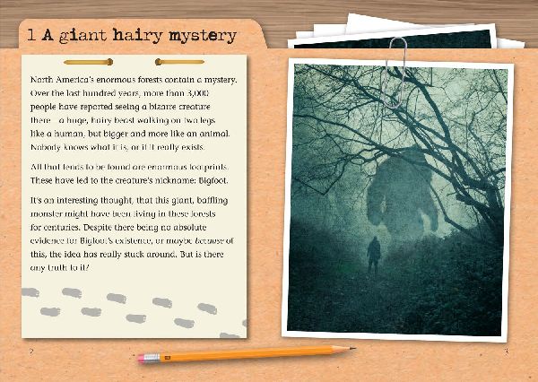 The Unsolved Mystery of Bigfoot