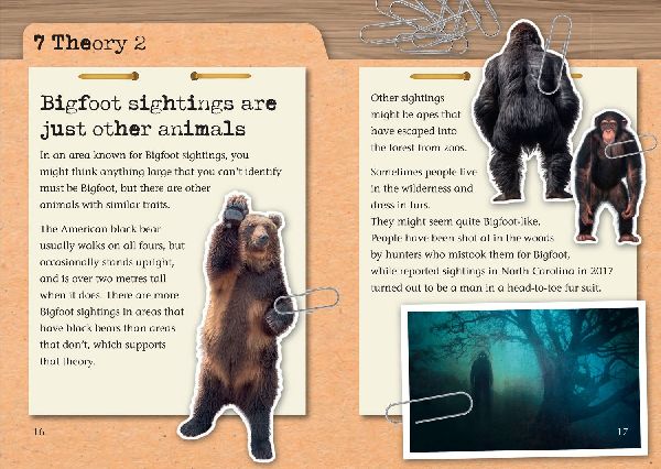 The Unsolved Mystery of Bigfoot