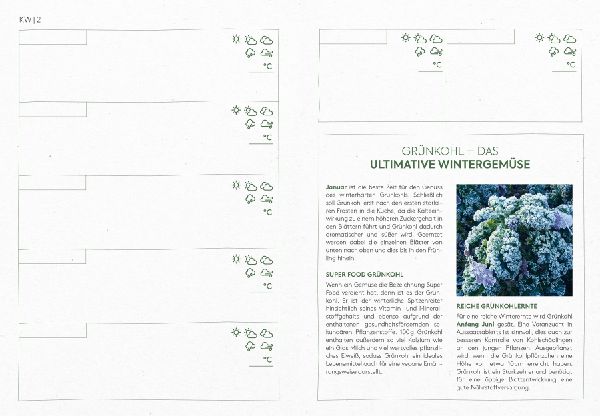Planen, säen, ernten - Mein Biogemüse-Gartenjahr