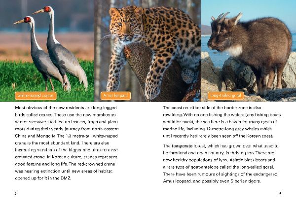 BIG CAT_NATURE FIGHTS BACK