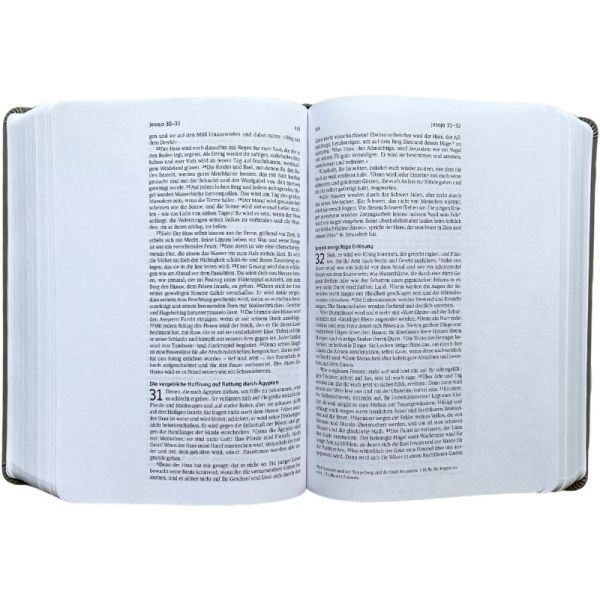 Neues Leben. Die Bibel mit Schreibrand
