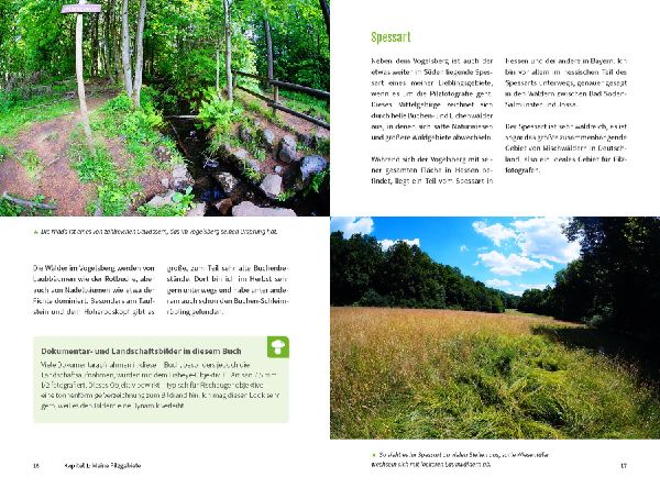 Pilzfotografie - Magische Momente inszenieren